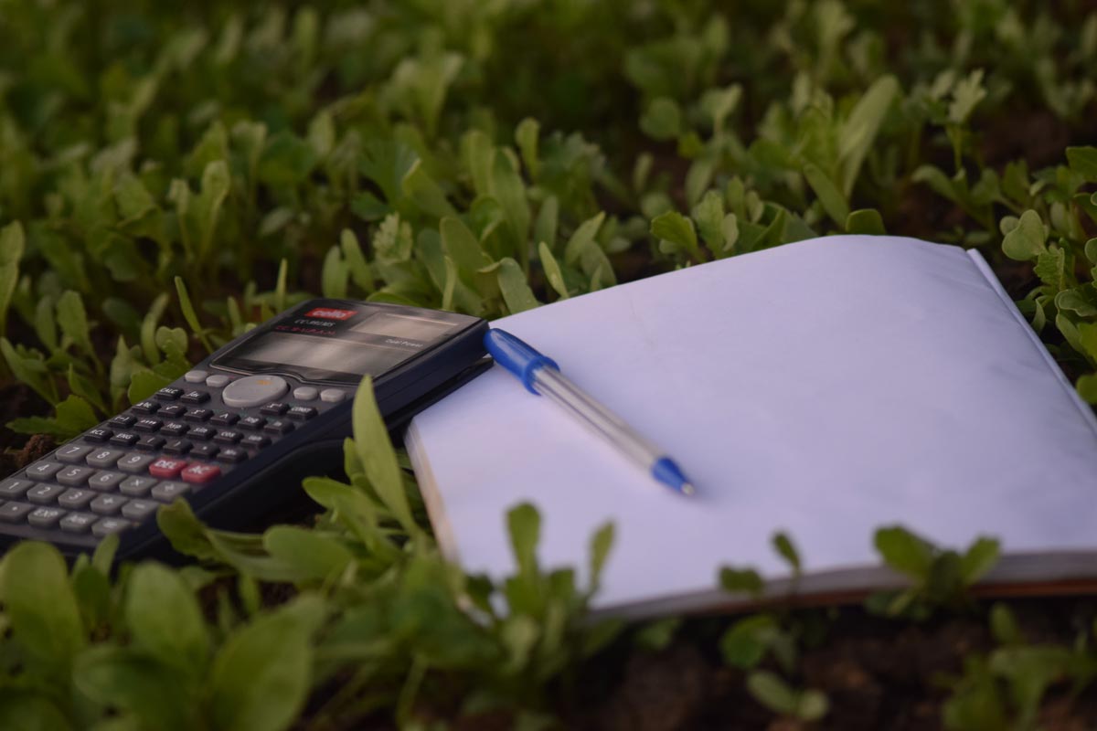 photo of a calculator, pen and notebook in the grass
