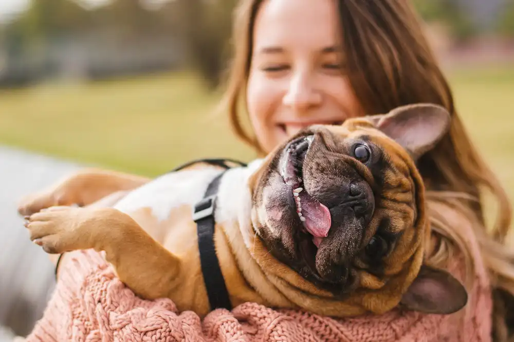 4 Good Reasons Why Dogs Are Great for Your Holistic Health