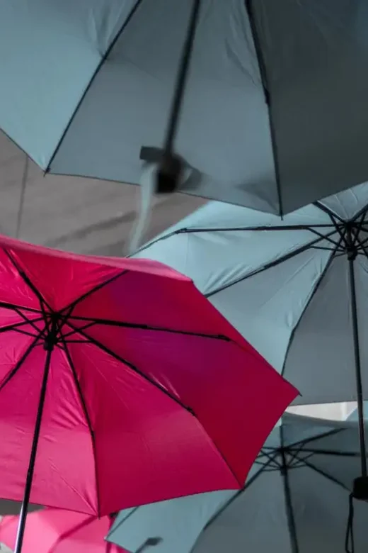 photo of pink umbrella in the middle of black umbrellas