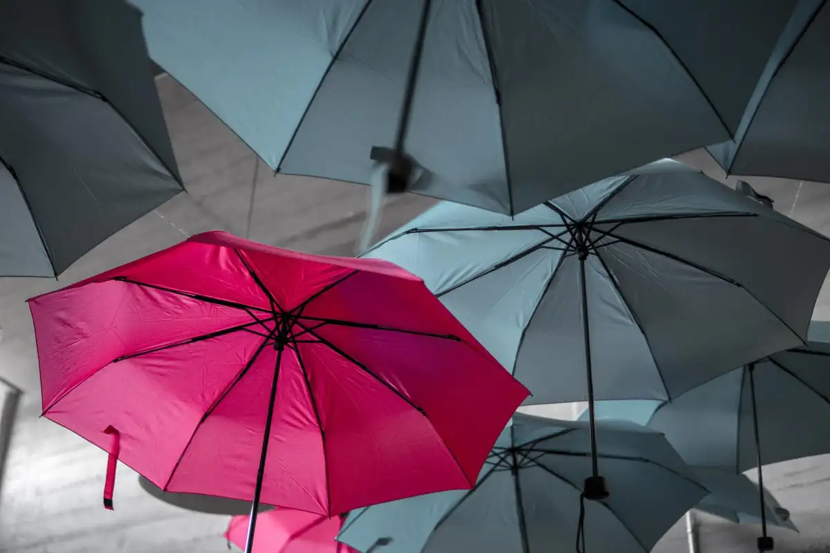 photo of pink umbrella in the middle of black umbrellas