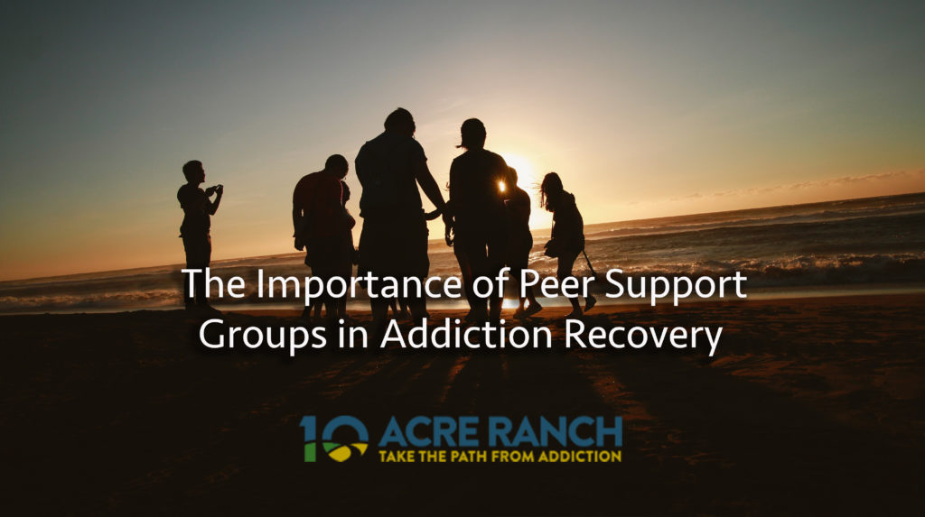 The Importance of Peer Support Systems in Addiction Recovery | 10 Acre ...