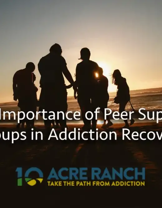 The importance of peer support groups in addiction recovery blog title on a people in the beach background