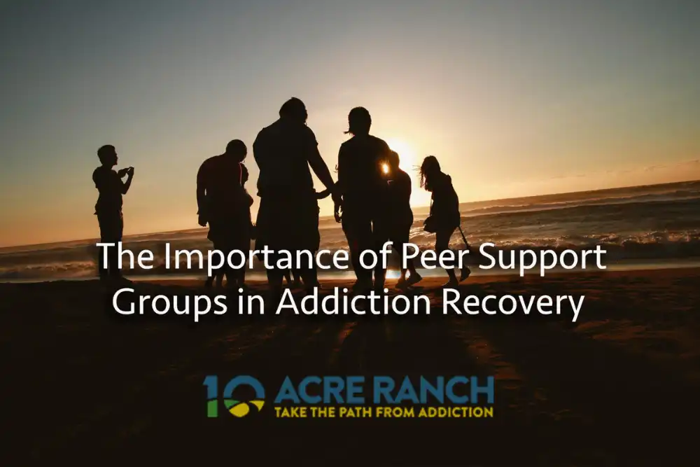The Importance of Peer Support Systems in Addiction Recovery
