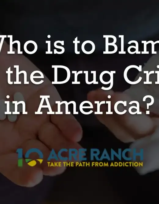 Who is to Blame for the Drug Crisis blog title on a hand with pills background