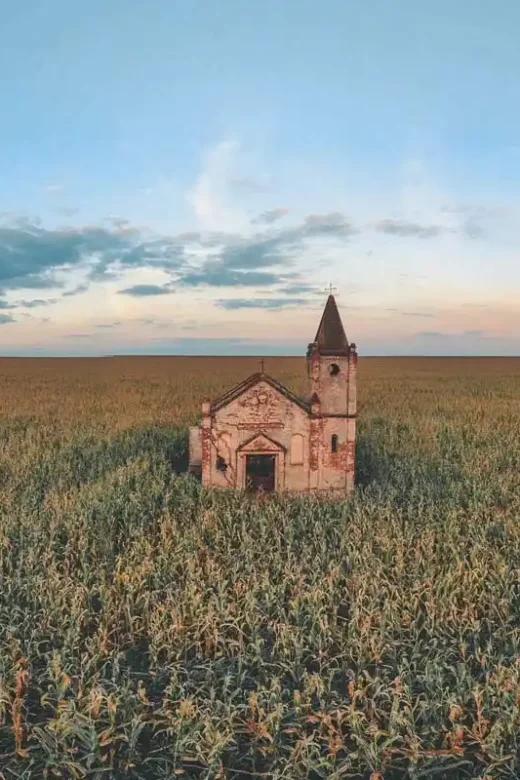 cathedral surrounded with plants under blue sky