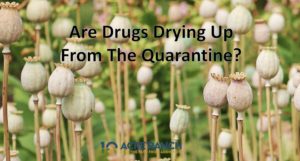 are-drugs-drying-up-during-quarantine-addiction-treatment-Riverside-California-COVID-19-testing-detox-safely
