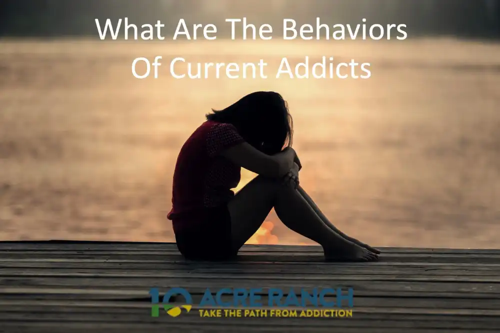 What are the behaviors of current addicts blog title image