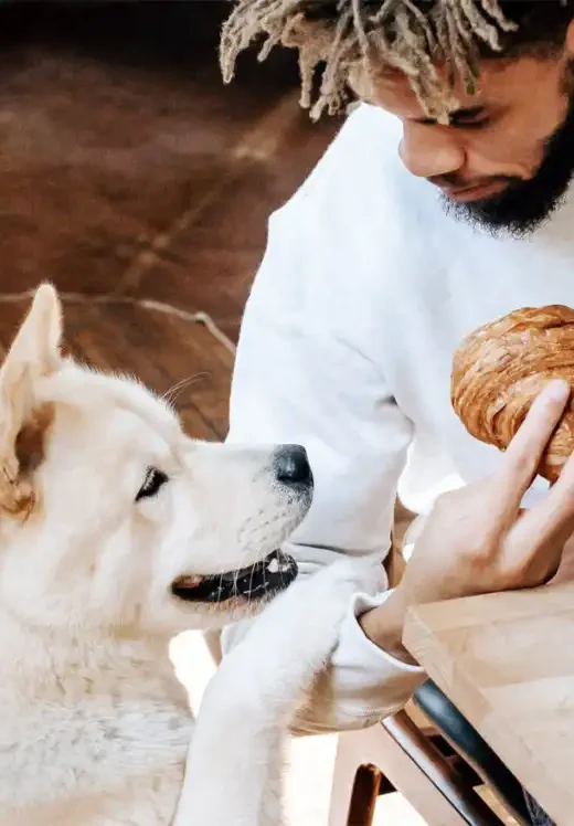 a young man with his pet during his breakfast at an addiction treatment center in the riverside california