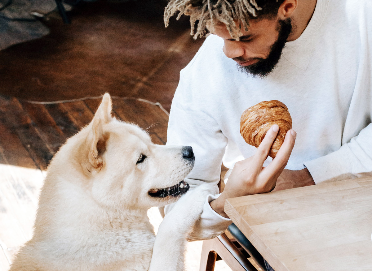 a young man with his pet during his breakfast at an addiction treatment center in the riverside california