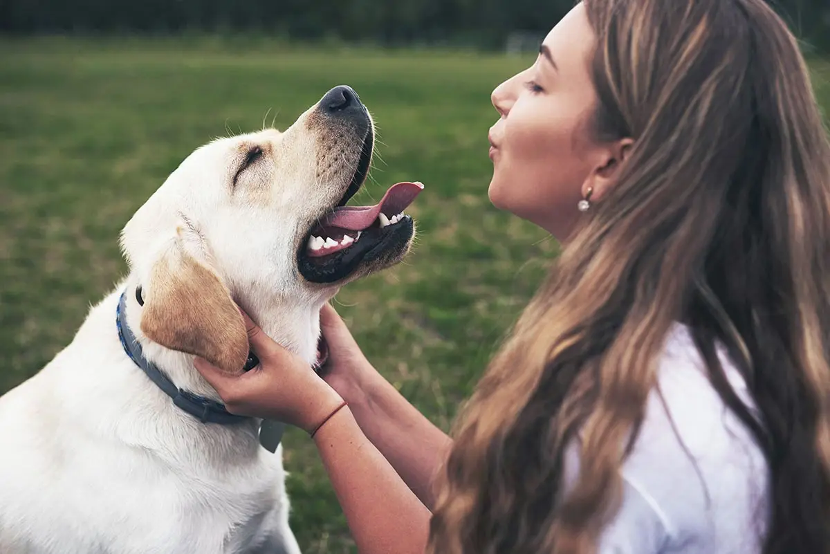 a-female-client-playing-with-her-dog-at-a-pet-friendly-rehab