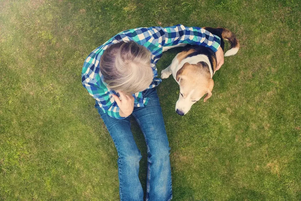 dog comforts his friend who is in recovery at drug rehab in riverside california