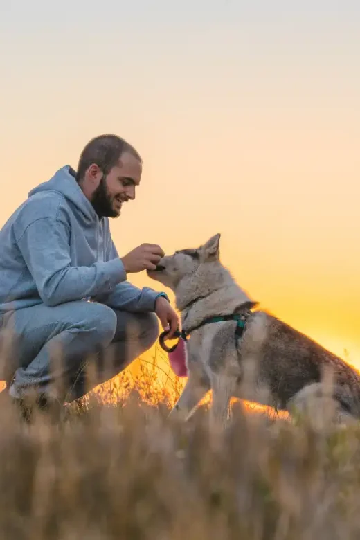 Owner petting his dog