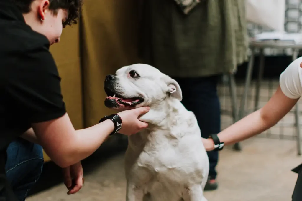 People Petting a Dog