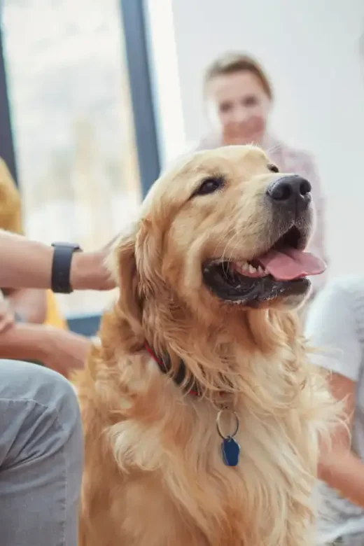 men and women and a dog during group therapy