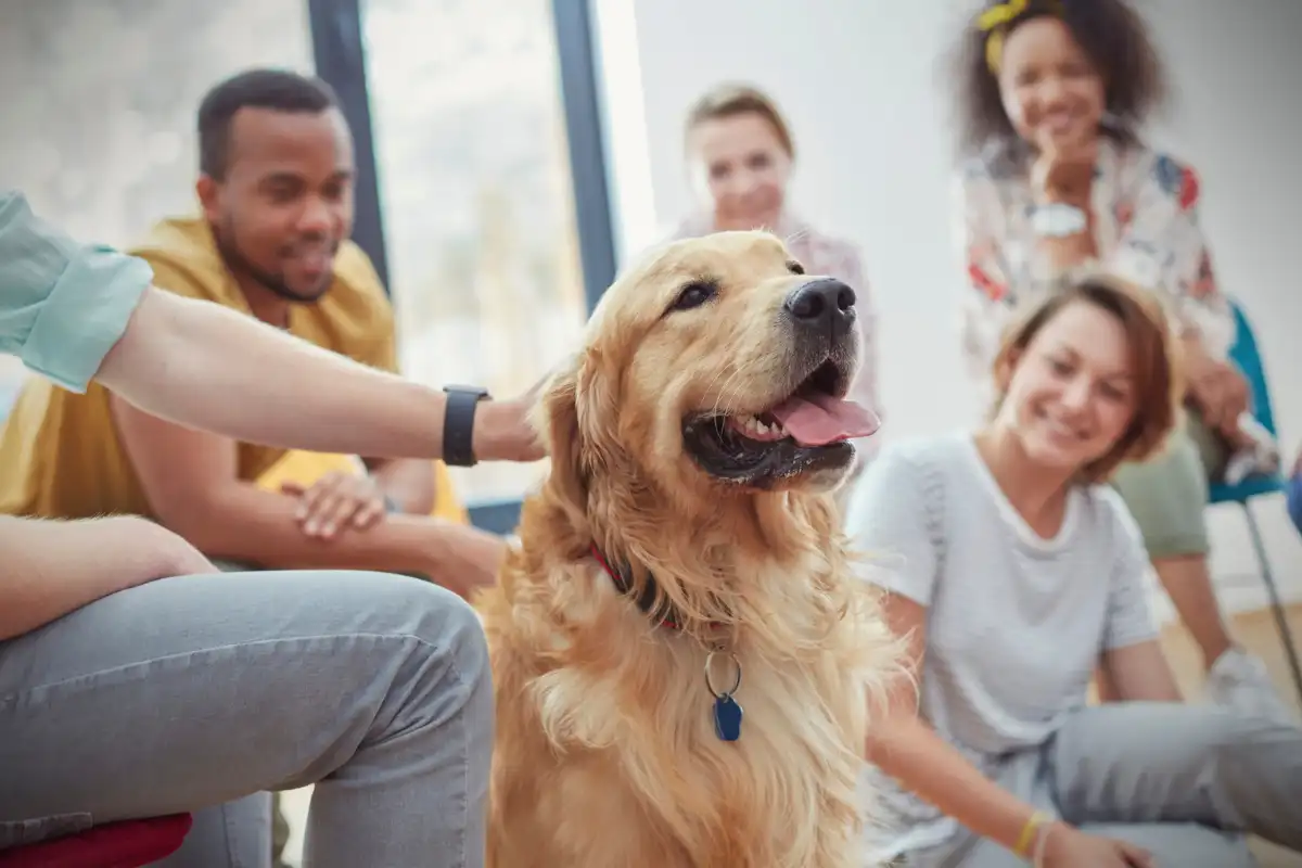 men and women and a dog during group therapy