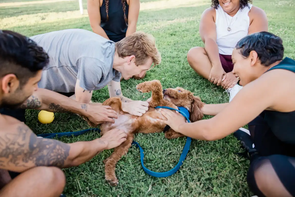 Diverse Group Playing with Dog in the grass