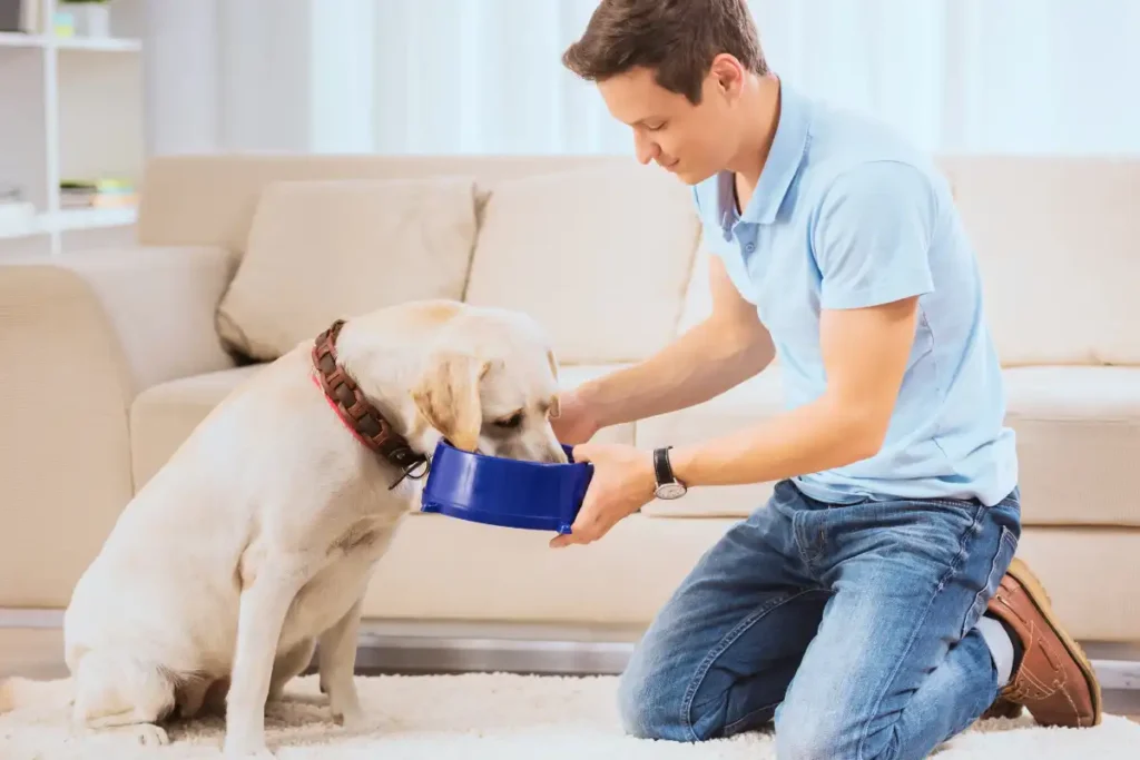 Young man is feeding his dog sitting on the floor in the room.