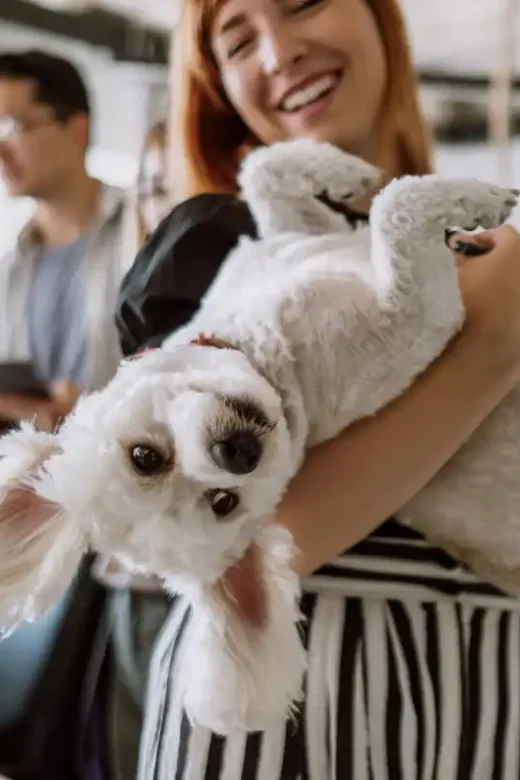 Pet friendly treatment center
