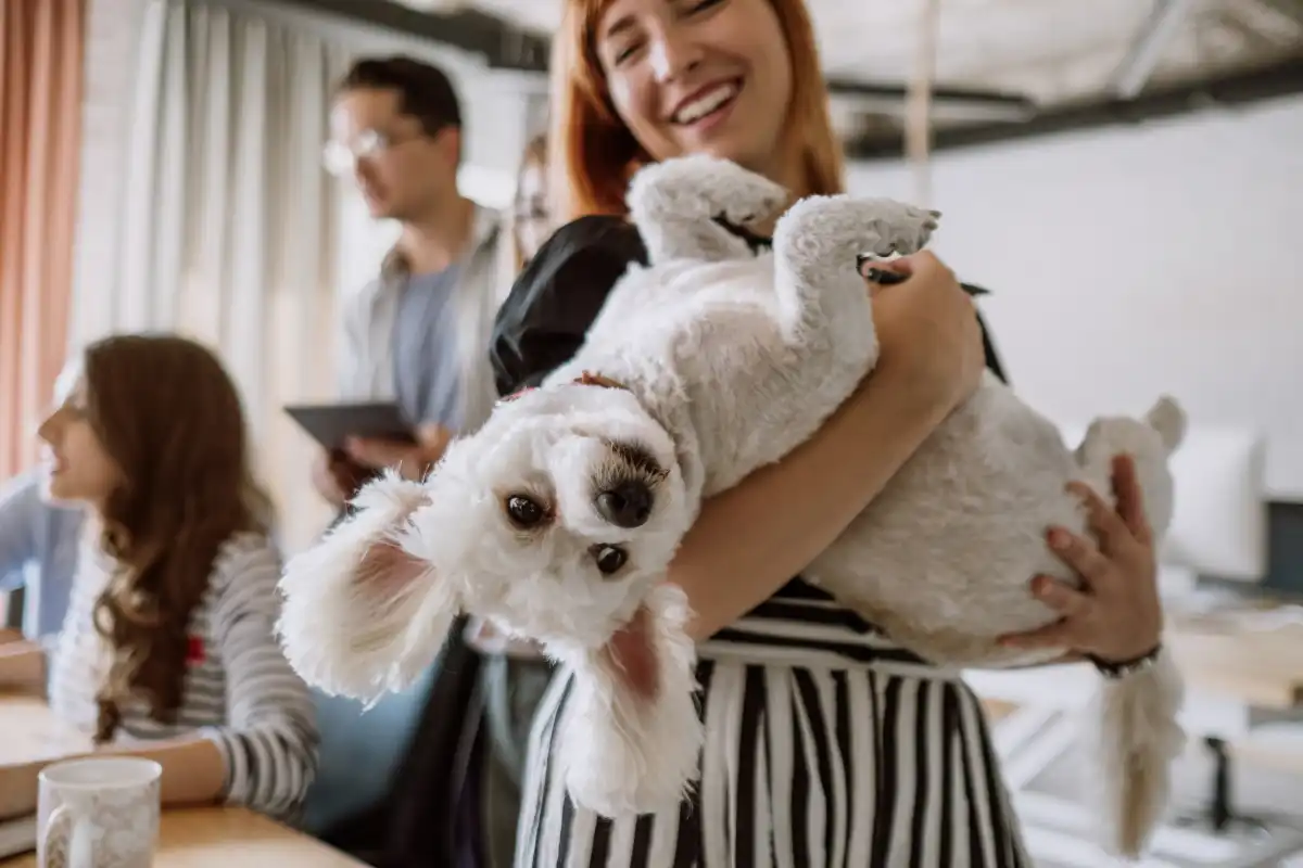 Pet friendly treatment center