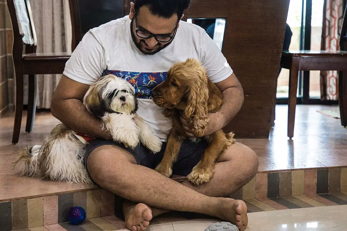 a man hugging his dogs