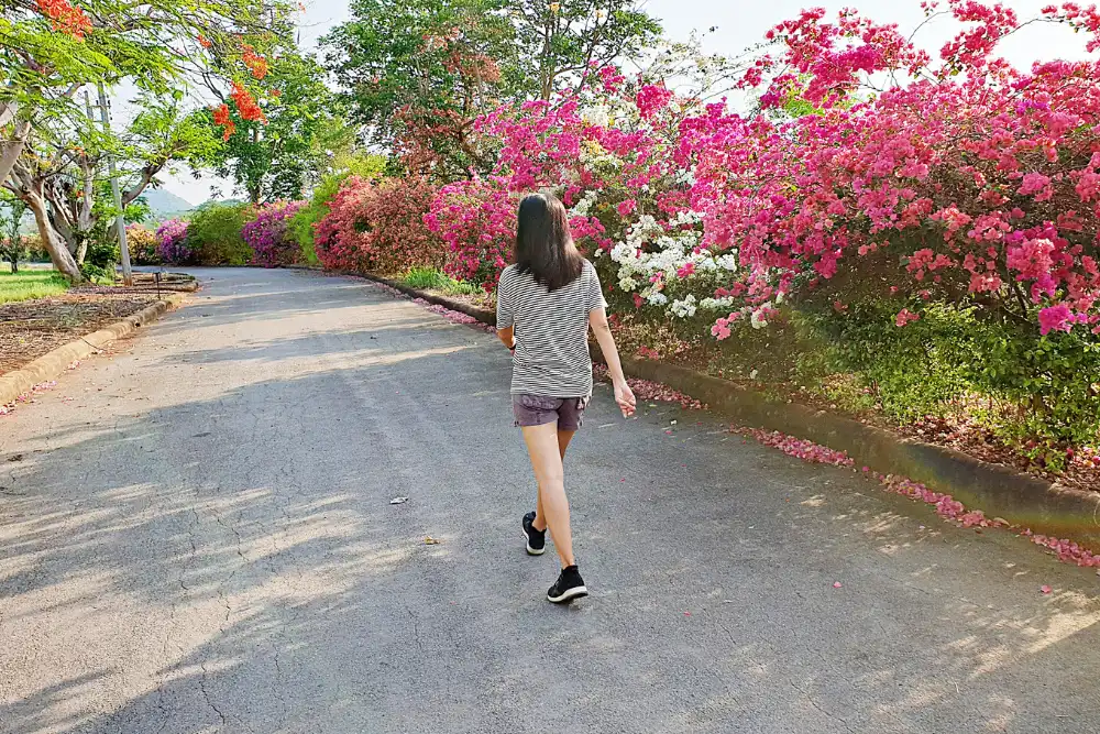 woman walking