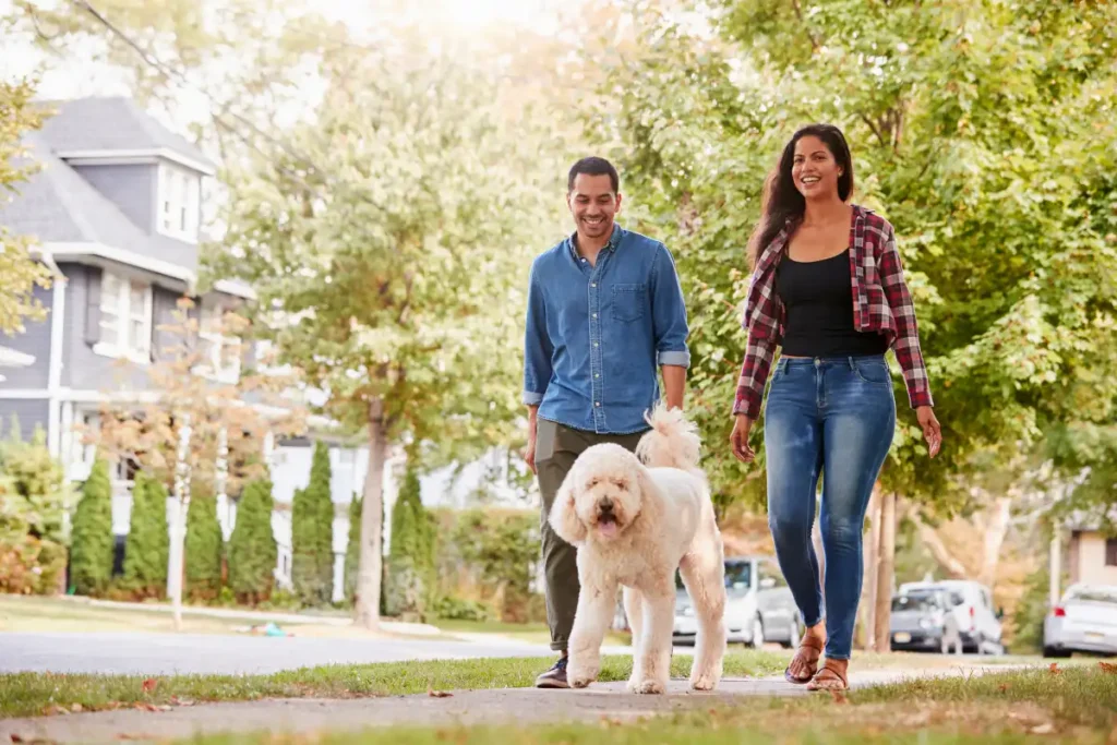 Couple Walking Dog